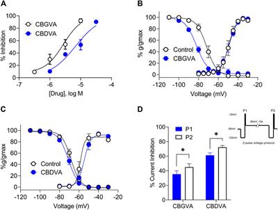 The <mark class="highlighted">anticonvulsant</mark> phytocannabinoids CBGVA and CBDVA inhibit recombinant T-type channels